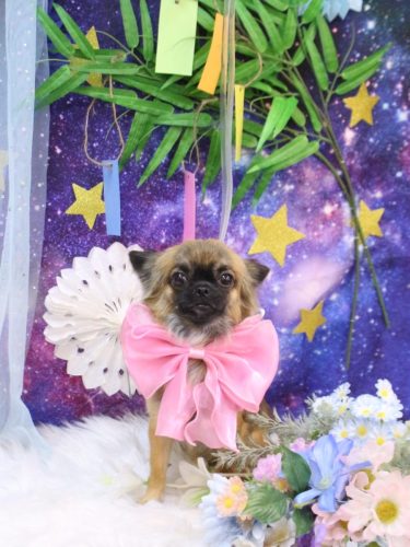 20250713むぎちゃん